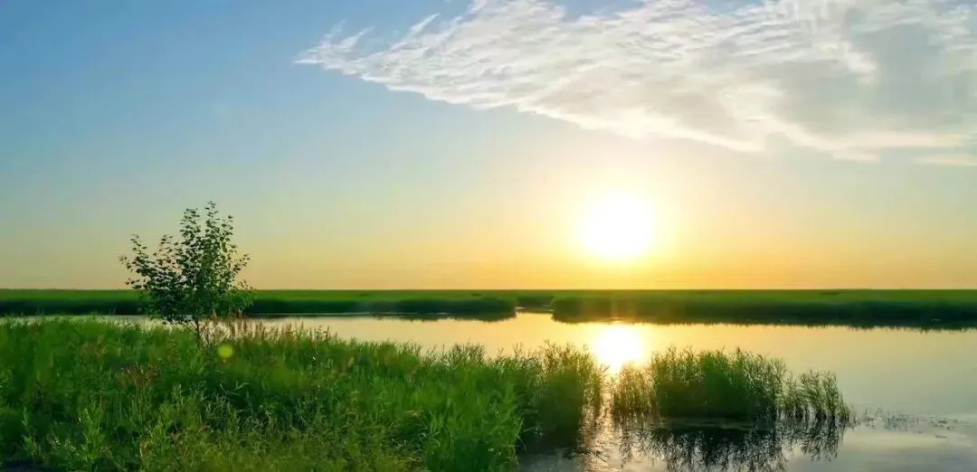 又一网红景点爆火,姐姐们争相打卡,引1.8亿人围观!网友:这是什么人间“鲜”境?