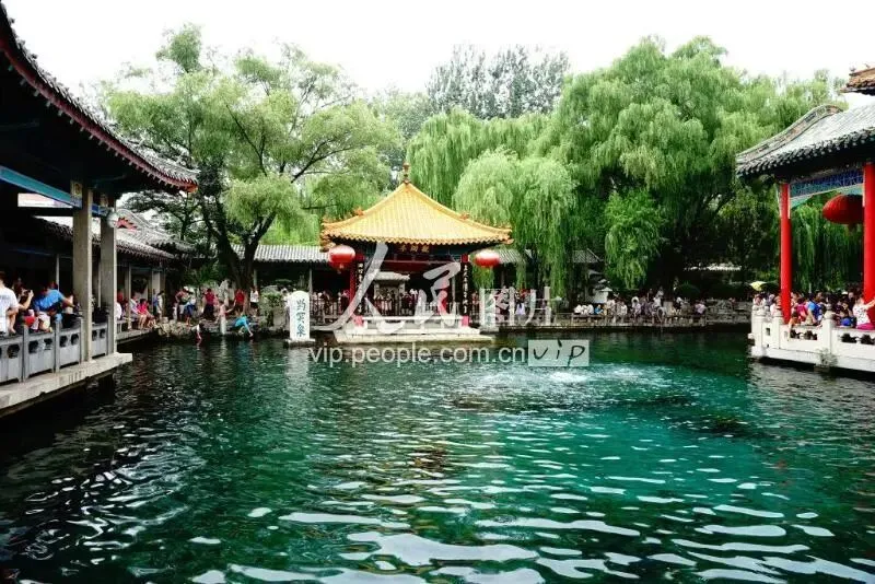 大量日本游客涌入济南,打着旅游幌子不逛趵突泉不吃九转大肠,原因成谜!