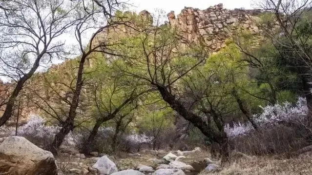 辽宁努鲁尔虎山国家级自然保护区旅游攻略:探秘辽西“脊梁山”的天然秘境