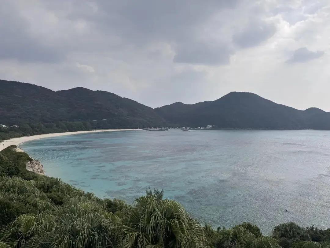 日本旅游已回,我的消费观崩塌了!!!