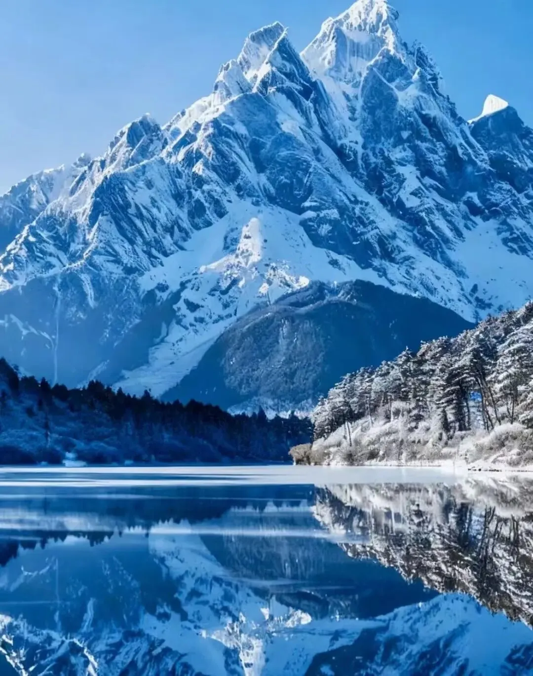 云南丽江狂喜!玉龙雪山景区免费了!以前收费100元,如今敞开玩