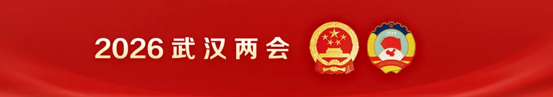 “让交通工具成为移动景点”,湖北省政协委员建议打造荆楚文化主题特色旅游交通