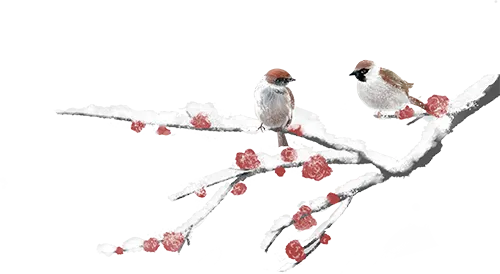 无锡梅园景区恢复开放公告(赠票)