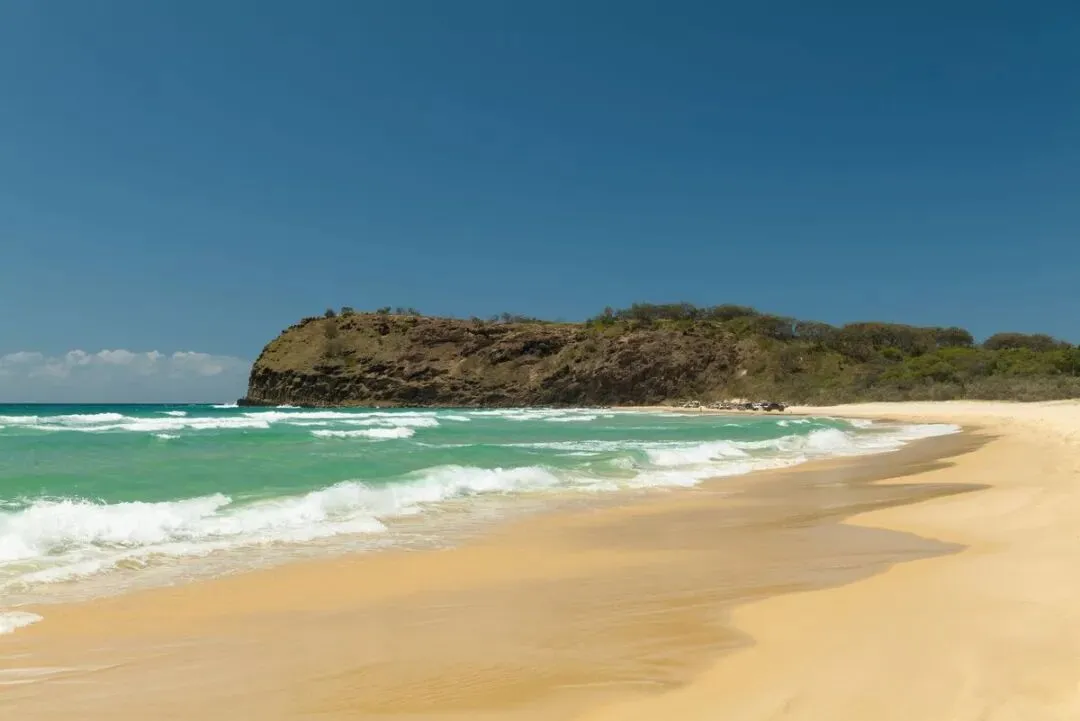 19岁少女不顾父母反对出门旅游,结果尸体出现在保护区,边上围着10只野狗