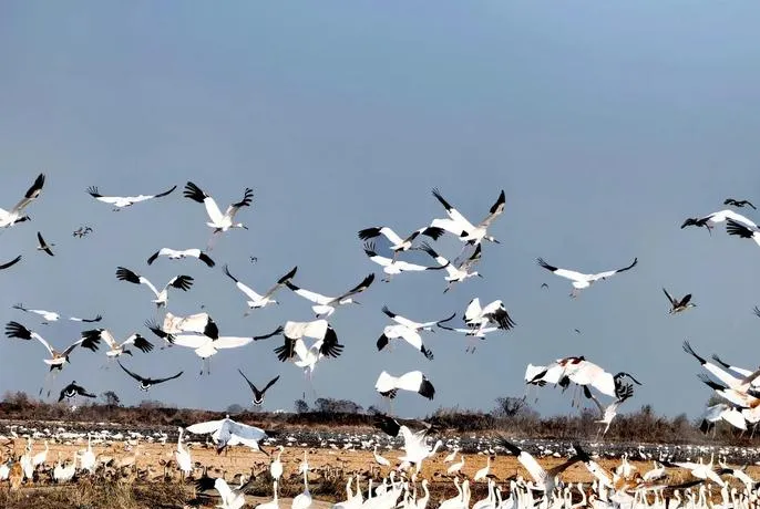 吉林白城六大必去景点,2026春节旅游最合适的地方