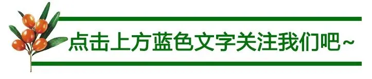 国家AAA级旅游景区#五峰慧果沙棘产业园#四大优势塑造文旅融合新高地