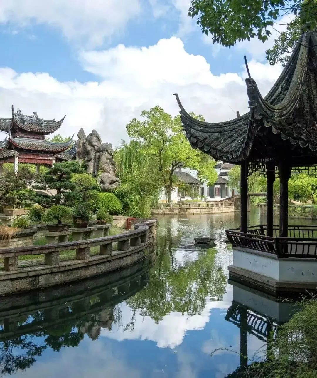 江苏苏州狂喜!拙政园景区免费了!以前收费70元,如今敞开玩