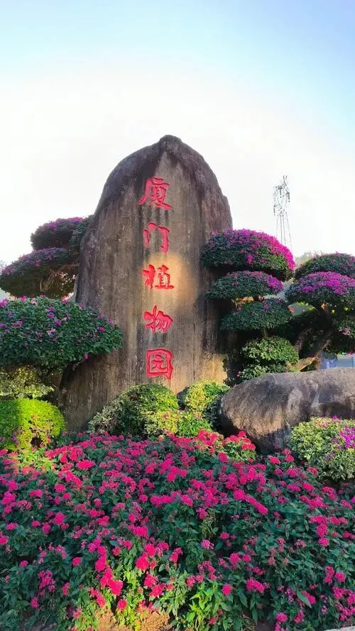 厦门植物园丨旅游攻略丨景点介绍