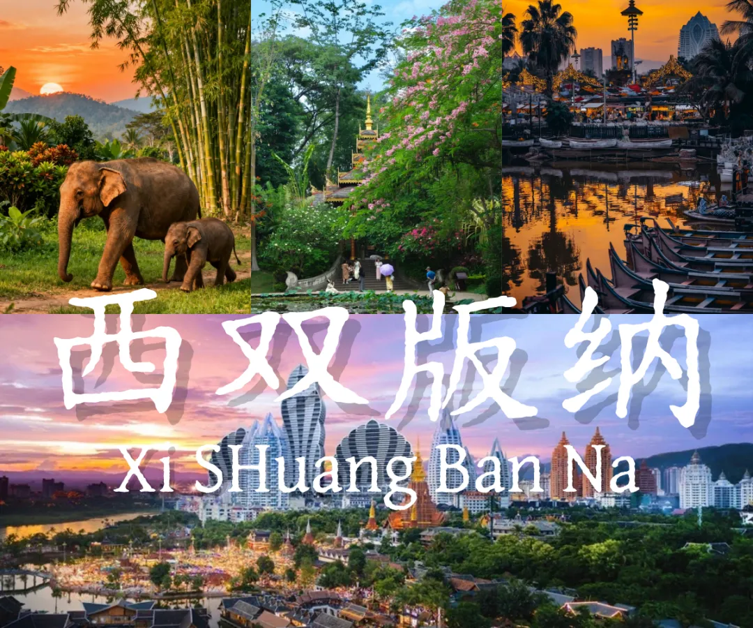 别瞎做攻略了!元宝&豆包整理的2026春节西双版纳旅游干货,懒人直接冲