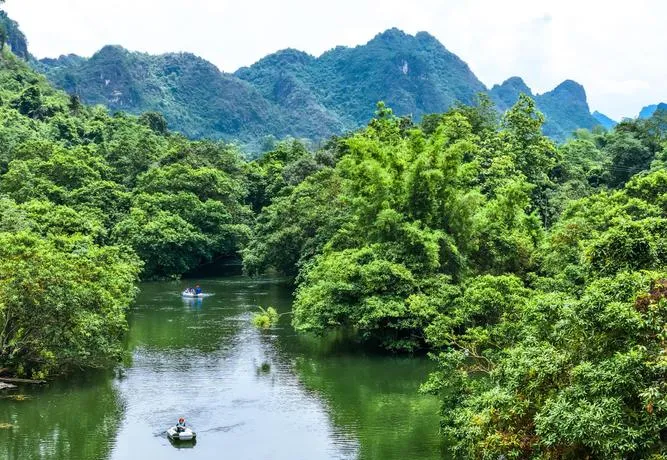 大量日本游客涌入崇左,打着旅游的幌子,不逛德天跨国瀑布,不吃烤乳猪,为什么?