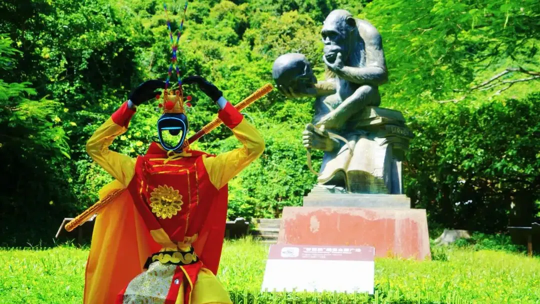 南湾猴岛获美团景点2025年度营销创新奖