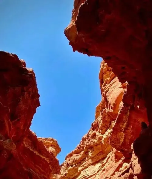 驴友立大功!真不输沙漠景区!巴彦淖尔沙漠风光太独特!