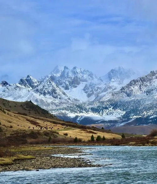 大量日本游客涌入甘孜,打着旅游的幌子,不逛稻城亚丁,不吃酥油茶,为什么?