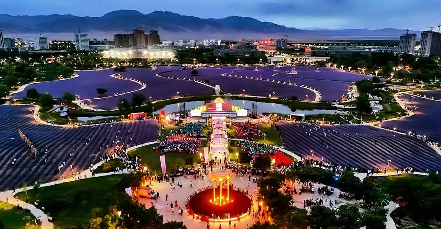 大量日本游客涌入金昌,打着旅游的幌子,不逛紫金花海,不吃羊肉垫卷子,为什么?