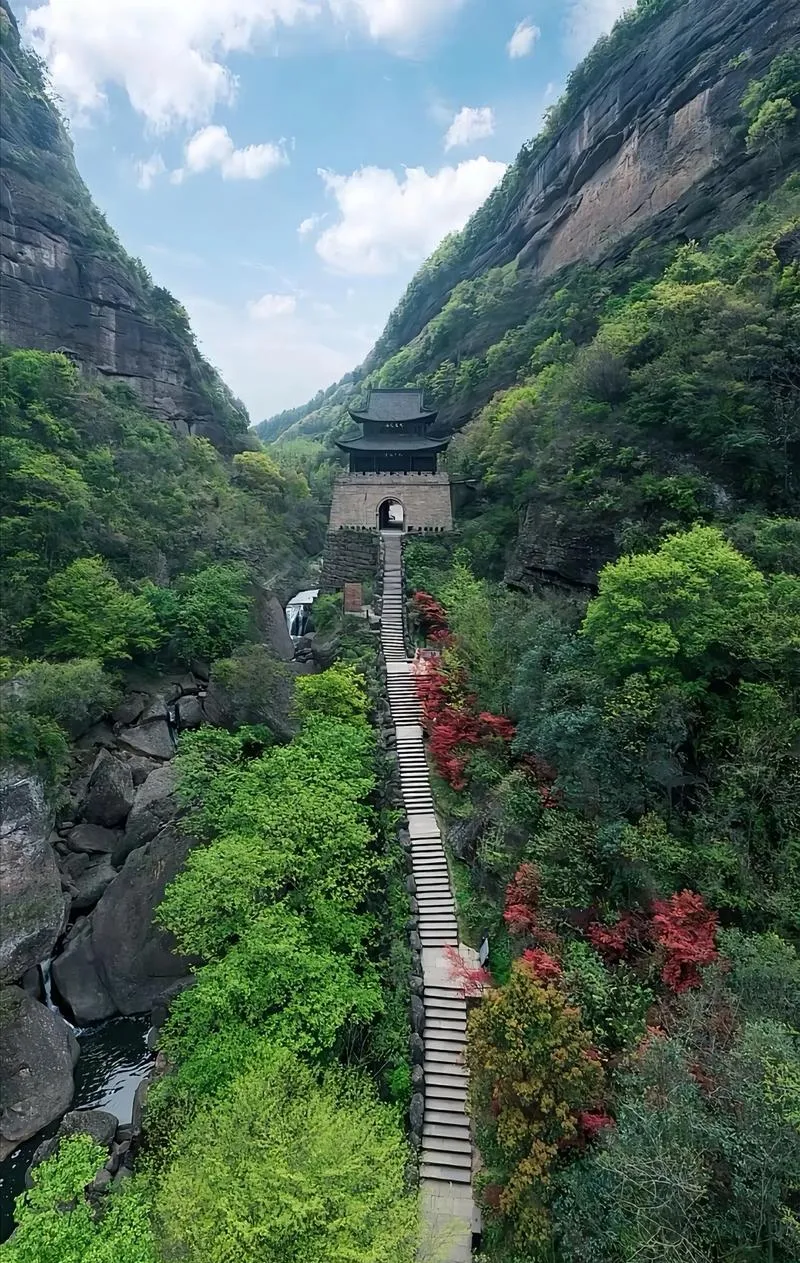 大量日本游客涌入广元,打着旅游的幌子,不逛剑门关,不吃蒸凉面,为什么?