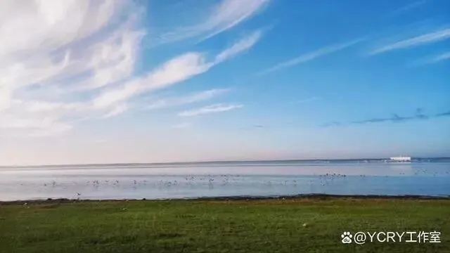 自驾张北草原游玩攻略推荐