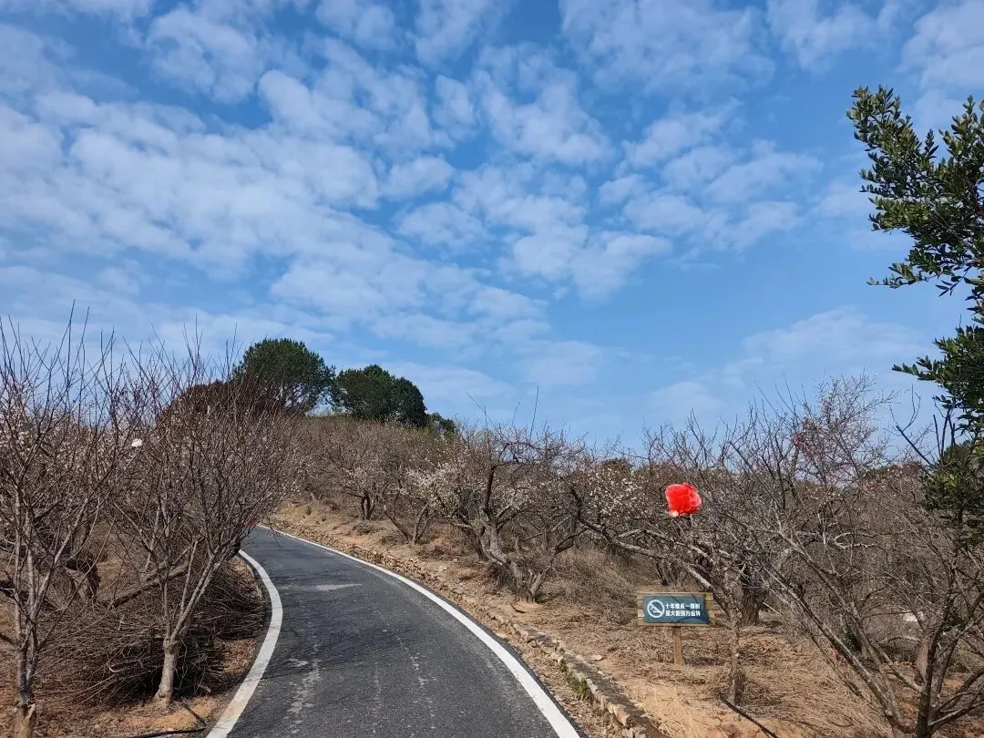 访观音井百果园景区见梅