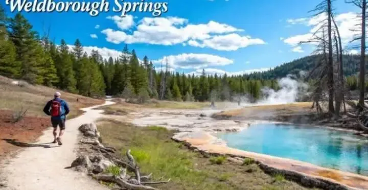 AI虚构“网红景点”,酒店老板无语:每天都有人上门找不存在的温泉