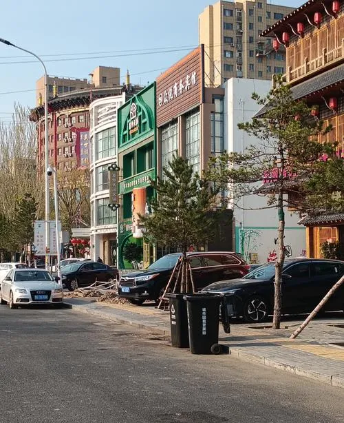 大量日本游客涌入通辽,打着旅游的幌子,不逛大青沟,不吃牛肉干,为什么?