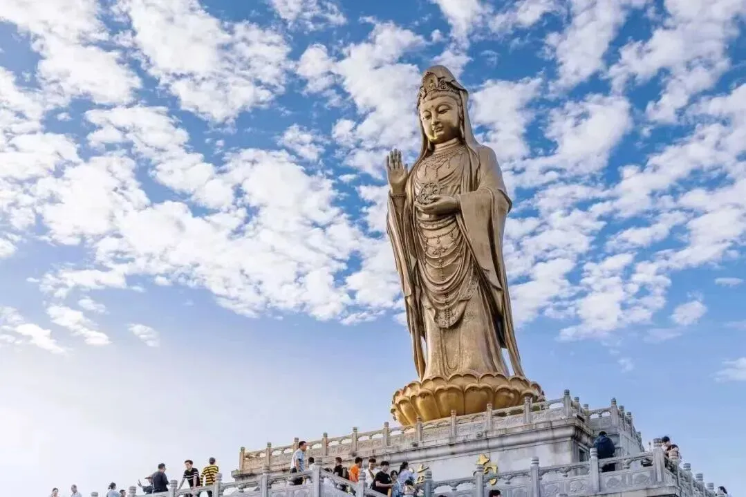 限时:全国大学生狂喜,普陀山朱家尖5大景区免票+吃住薅羊毛攻略