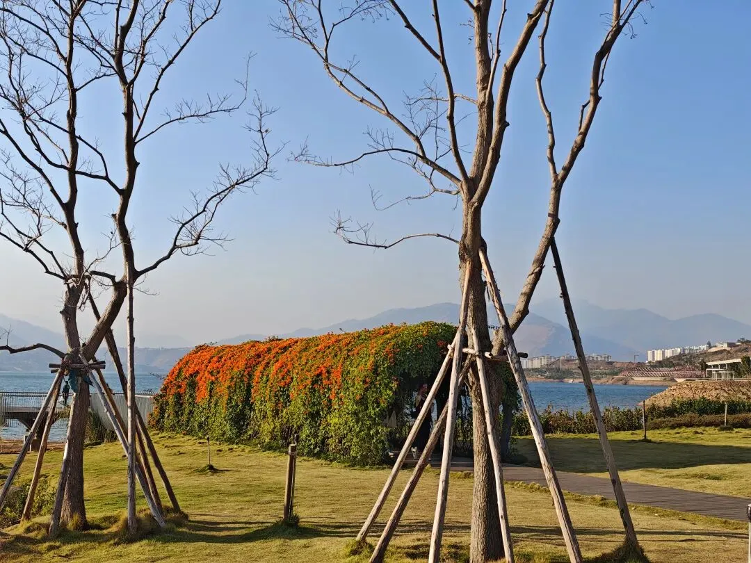很小众但很实惠,反向旅游过暖冬,推荐三条经典自驾游线路