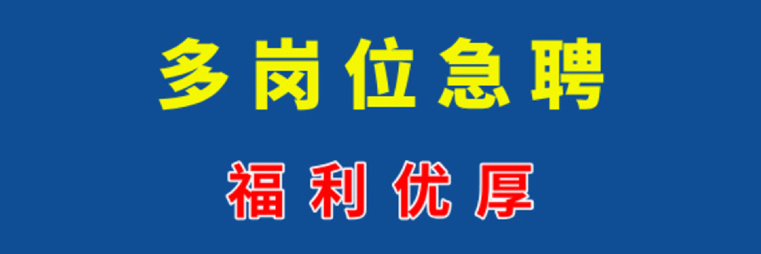 【南沙招聘】共招12人!丰厚奖金+旅游活动!待遇从优,月薪8~15k!