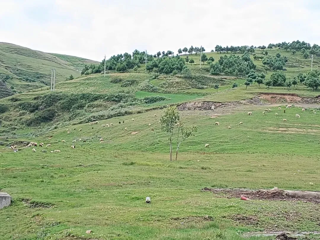 昭通大山包景区 Dashanbao Scenic Area