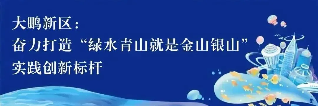 从“网红”到“长红”,大鹏东山“社区+景区”融合发展“密码”