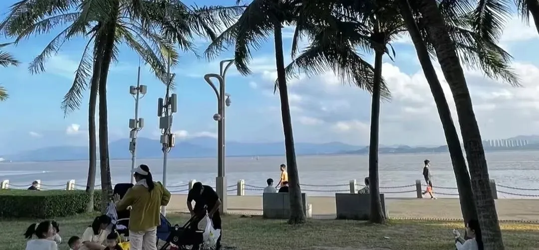 第一次来深圳旅游|本地人私藏攻略,照着玩不踩雷
