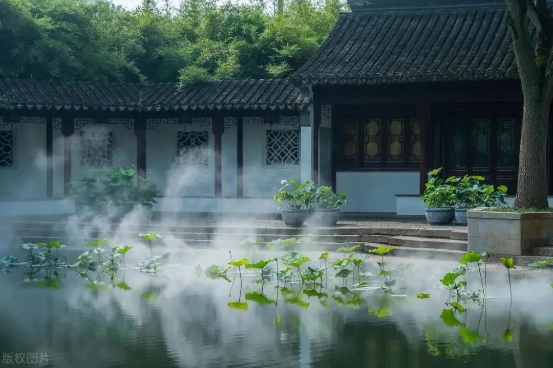 上海一高颜值古风景点走红,不是古猗园,比曲水园还浪漫,周末可以安排起来!