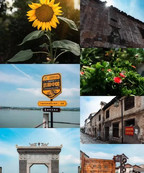 大量日本游客涌入宜昌,打着旅游的幌子,不逛三峡大坝,不吃凉虾,为什么?