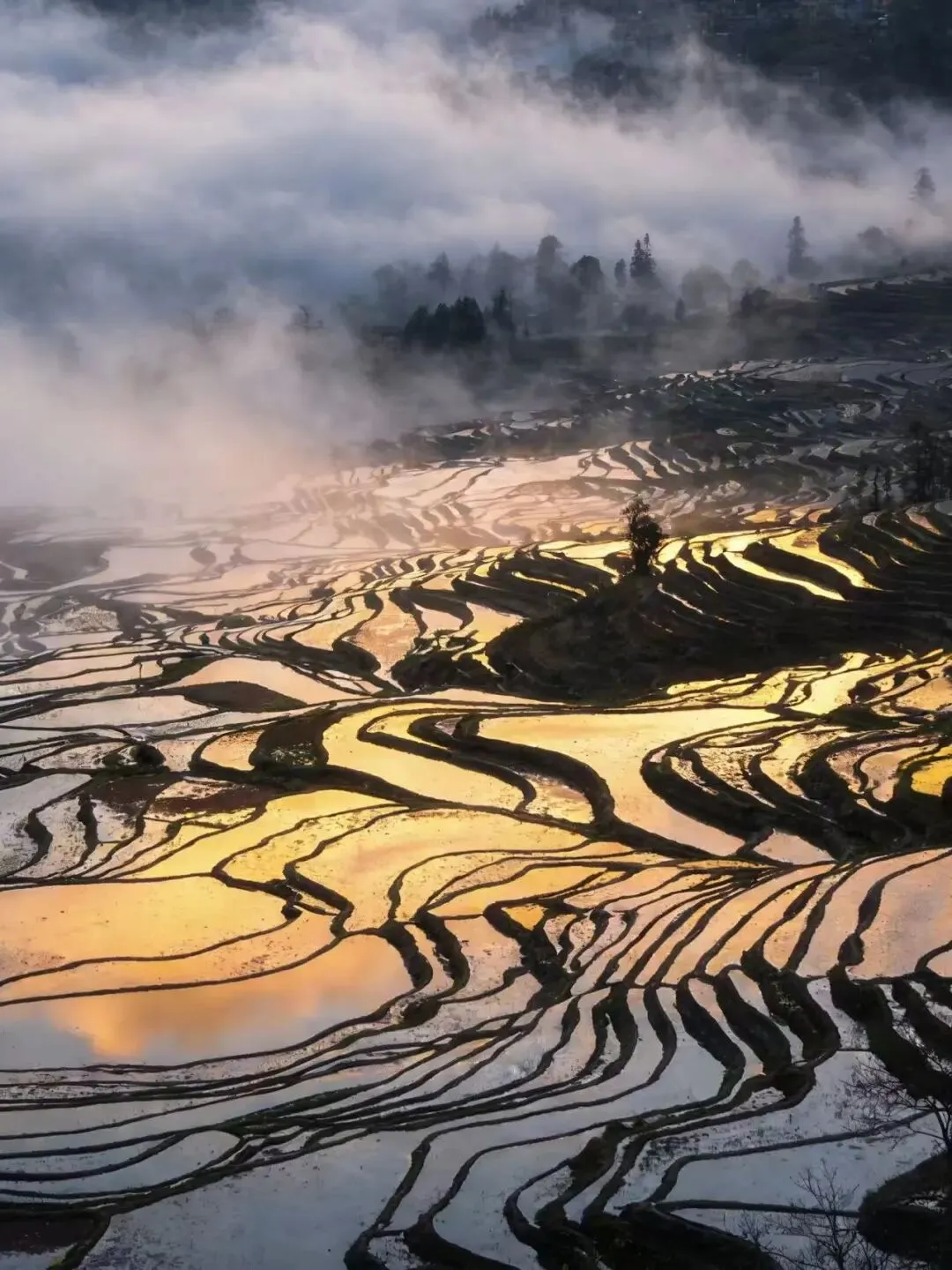 2026年元阳梯田旅游攻略,必打卡5个摄影景点!