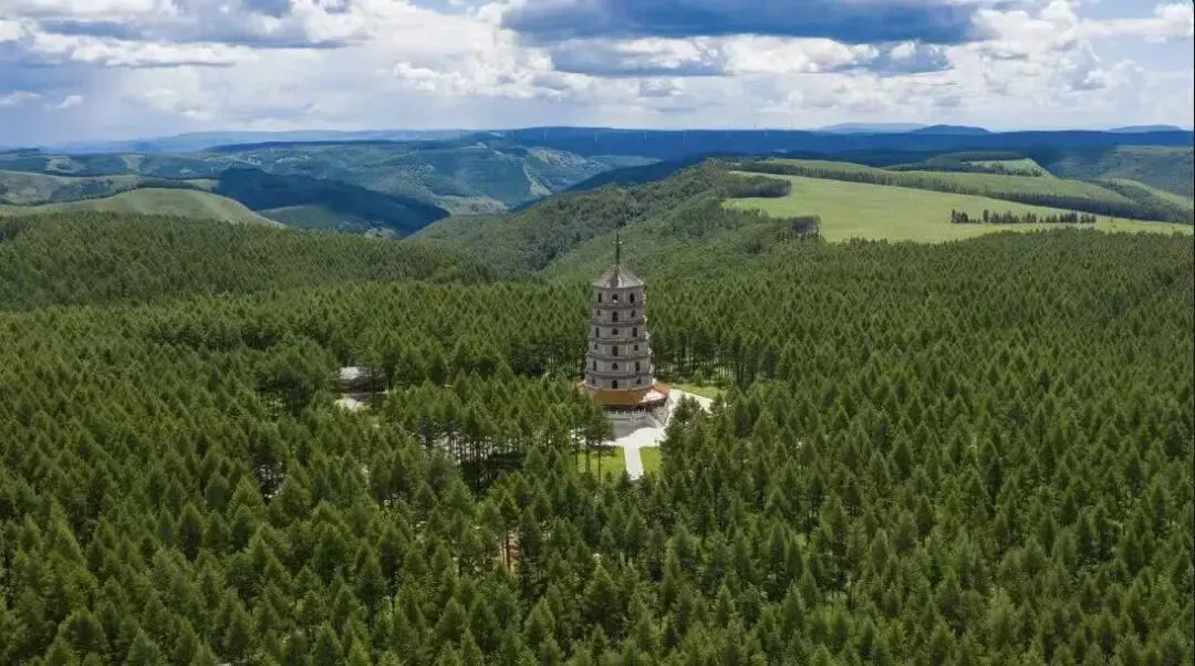 旅游伴侣丨云游河北之塞罕坝国家级自然保护区实时景观直播