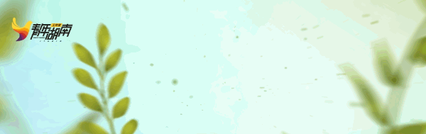 一死多伤!网红景点又出事了