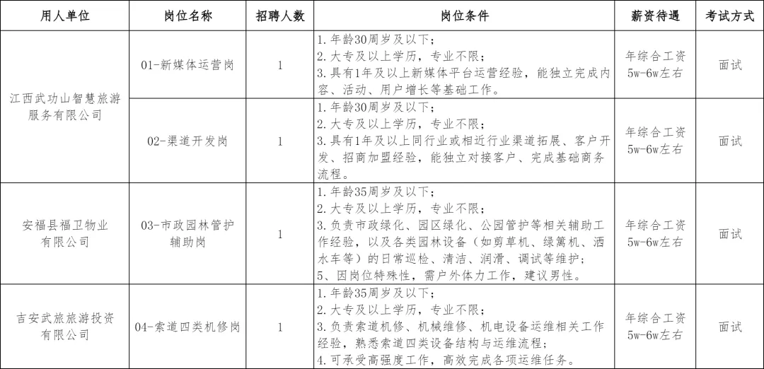 2026年吉安武功山景区开发有限公司面向社会公开招聘劳务派遣人员的公告