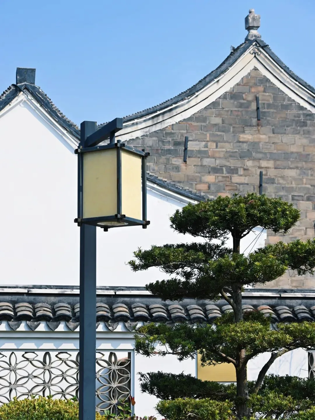 在宁波,今年为止我去过的最冷门市区免费景点