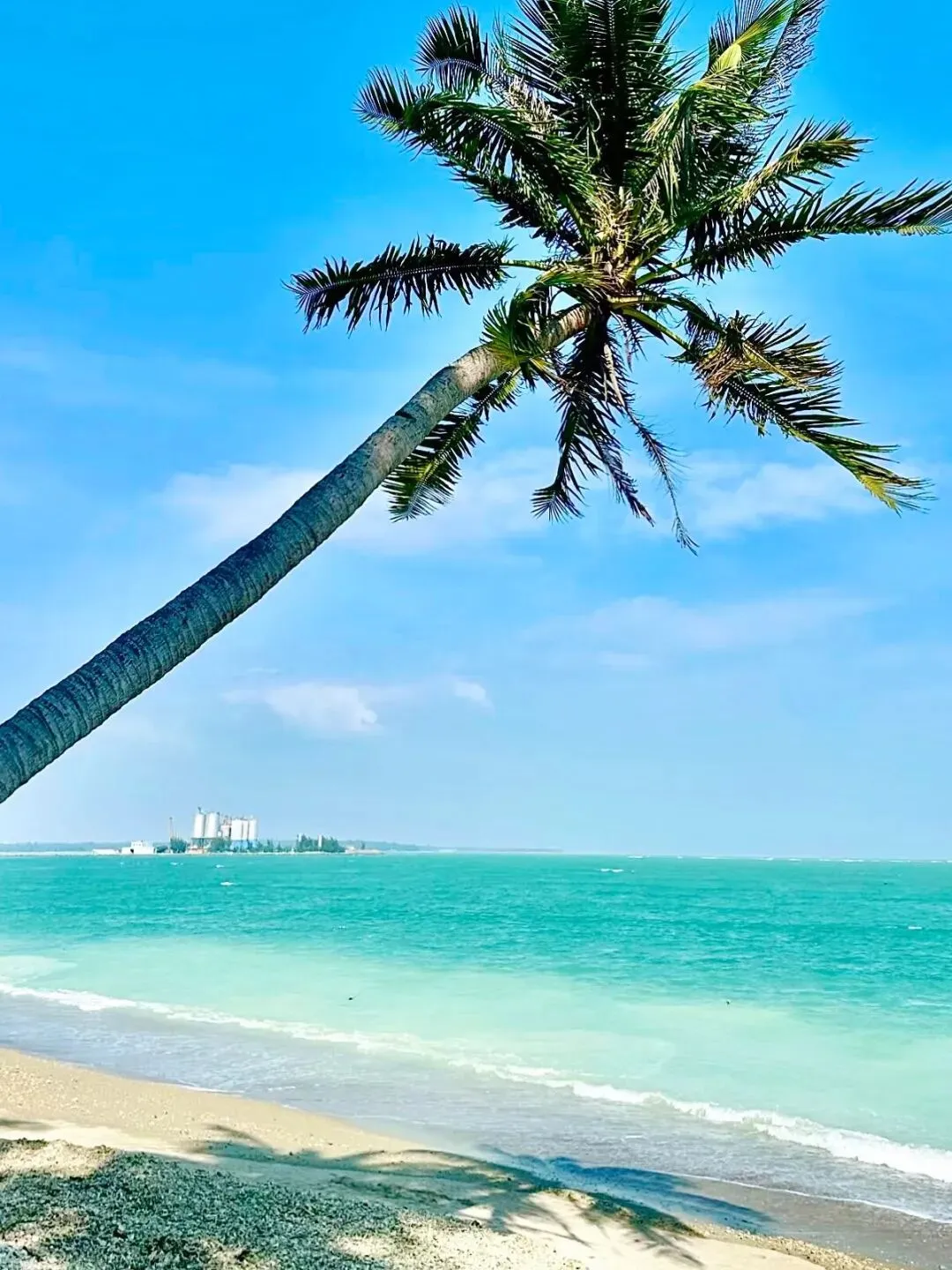 琼海1月旅游攻略,暖冬侨乡慢游 南洋风情+温泉海鲜吃到爽