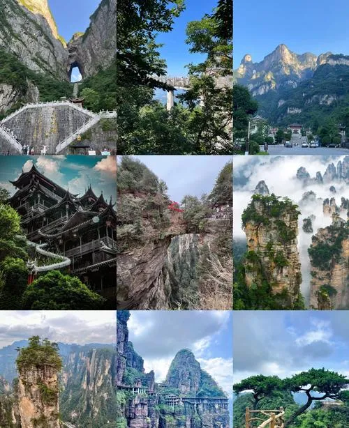 大量日本游客涌入张家界,打着旅游的幌子,不逛天门山,不吃三下锅,为什么?