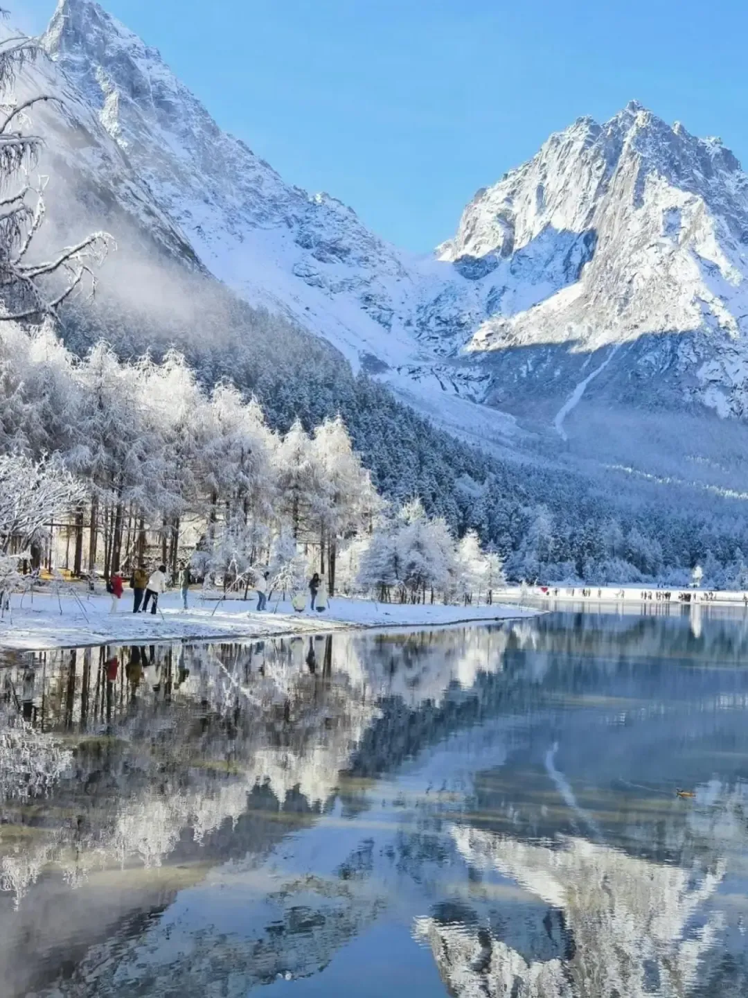 吉林延边狂喜!长白山景区免费了!以前收费270元,如今敞开玩