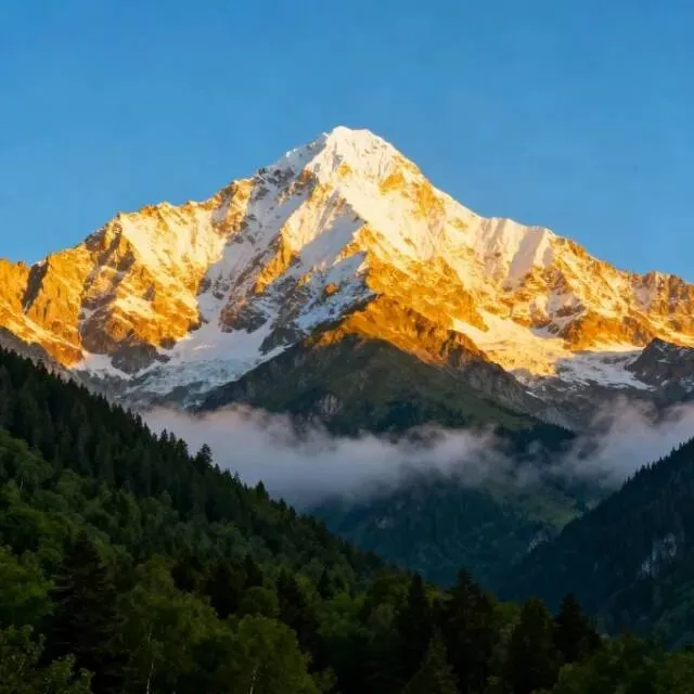 2026年起,无障碍旅游有了统一标准!出门玩更省心、更有尊严