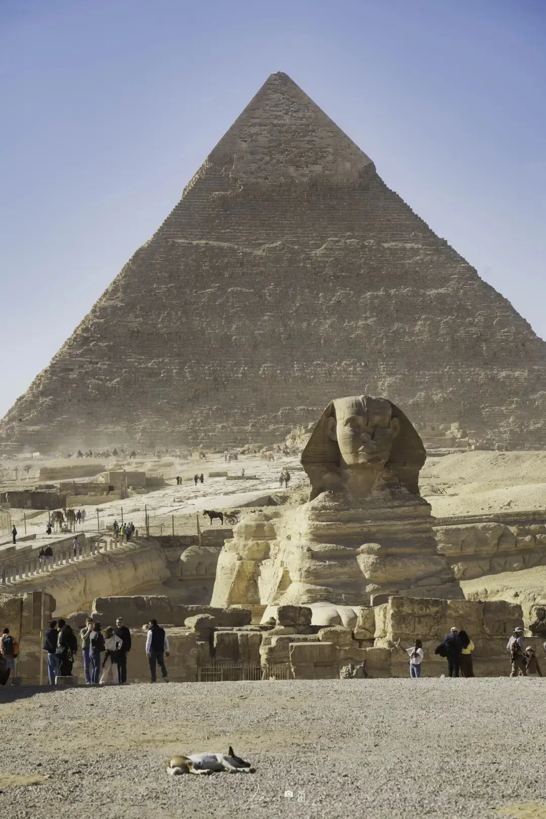 埃及旅游已回,我真的崩溃了!!!