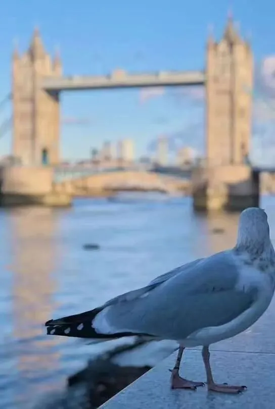 英爱旅行清单:景点全揭秘