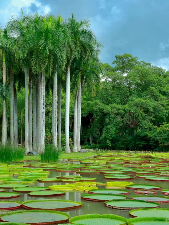 适合2月出发的6个旅游地,不费心做攻略、节奏慢,感觉冷了,就去温暖小住两三天!