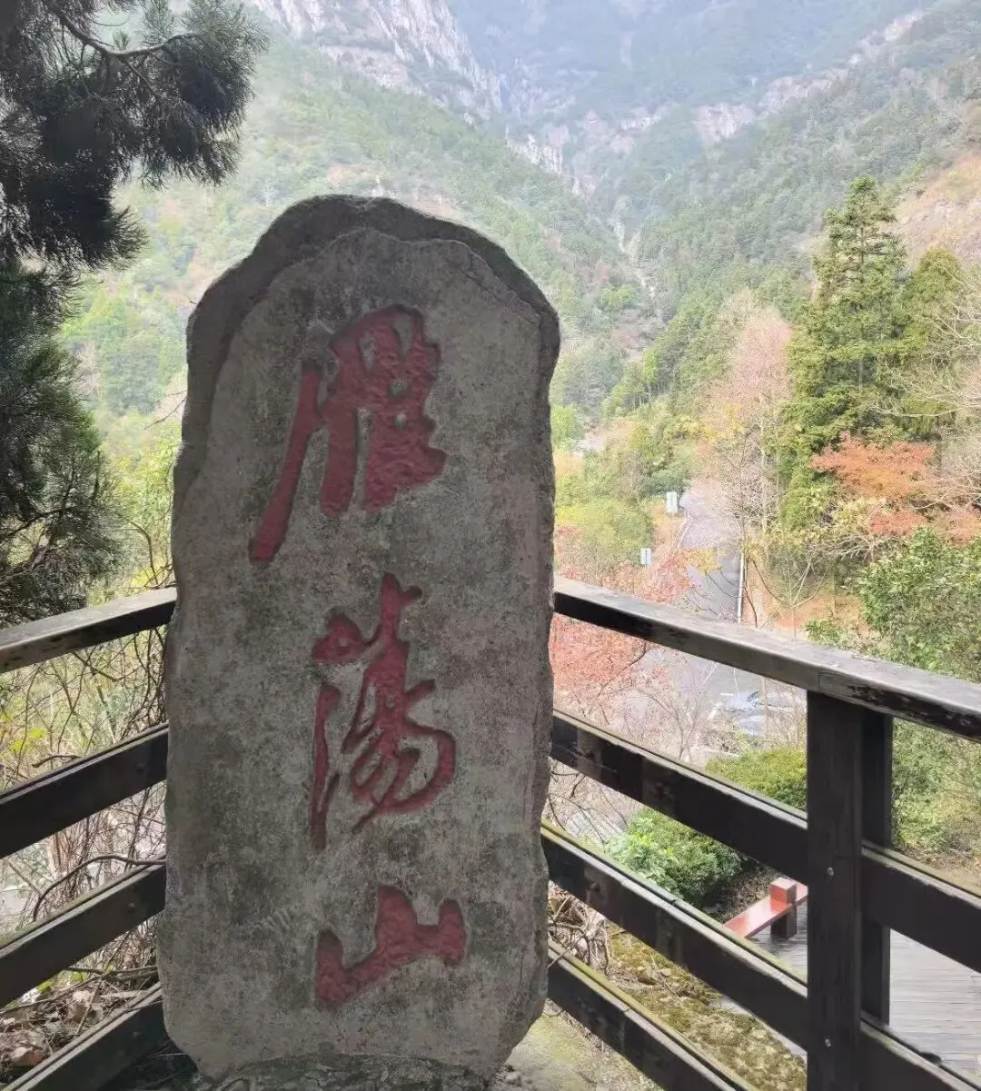 浙江温州狂喜!雁荡山景区免费了!以前收费50元,如今敞开玩