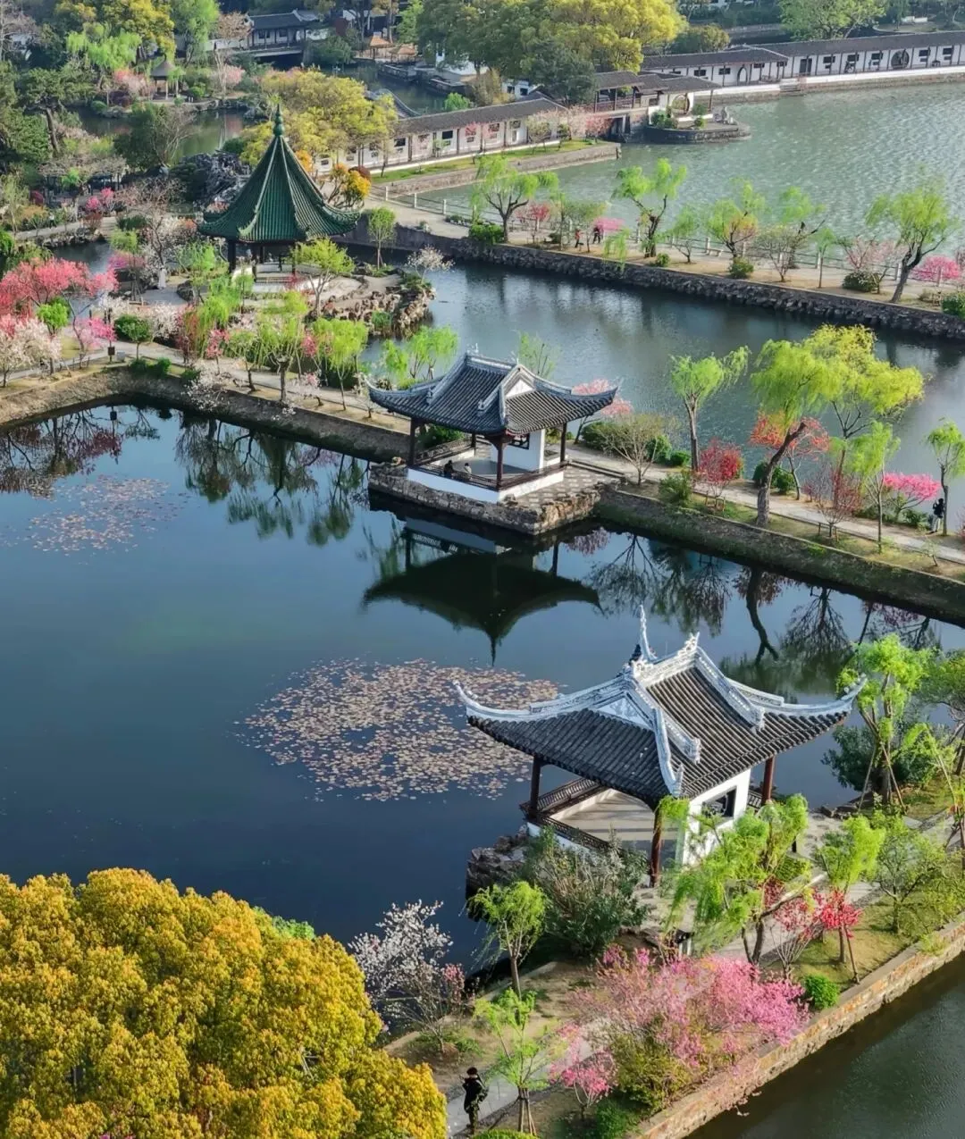 60岁以上,景区门票全免费的5个省份,退休后争取每年去一个!