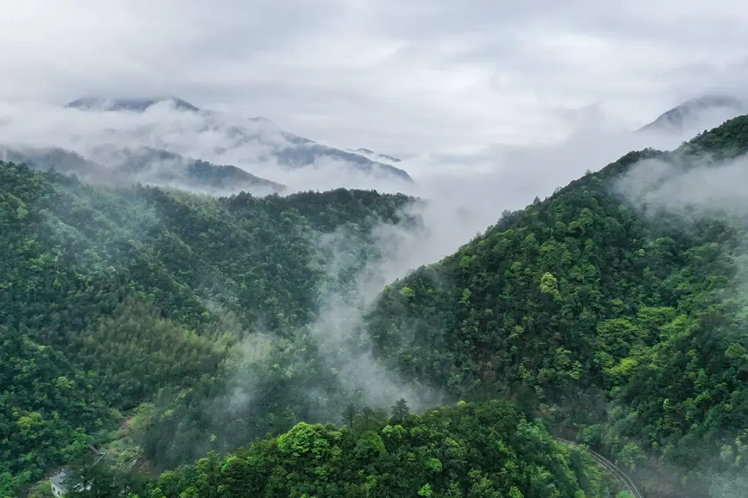 大量韩国人涌入江西上饶,打着旅游的名义,不看三清山不逛婺源古村,他们想干啥?