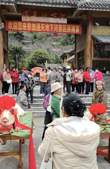平果通天地下河景区成功举办“杀猪宴”