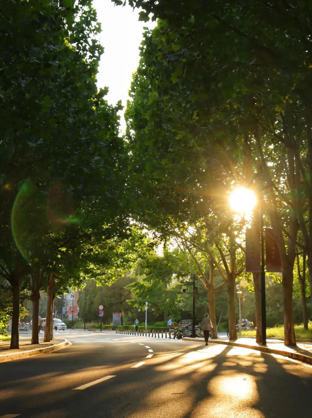 突然发现,不上班就不需要旅游了