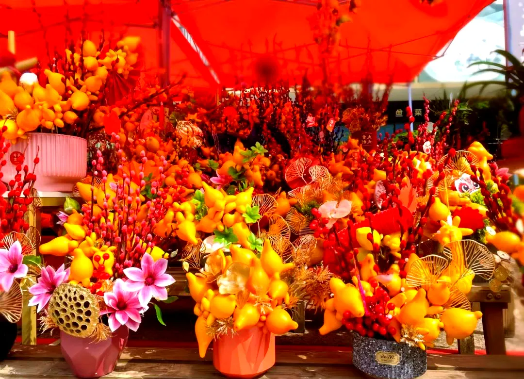 2026年南宁春节游玩全攻略,解锁马年浓醇年味,您最想去哪儿逛