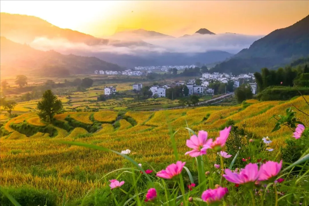 龙虎山悬棺表演时间表与景区交通全攻略,端午节畅游指南